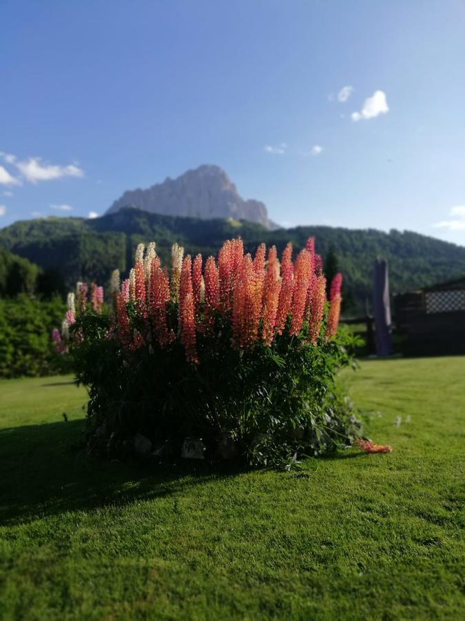 Cedepuent de Sot Appartement Sëlva Buitenkant foto